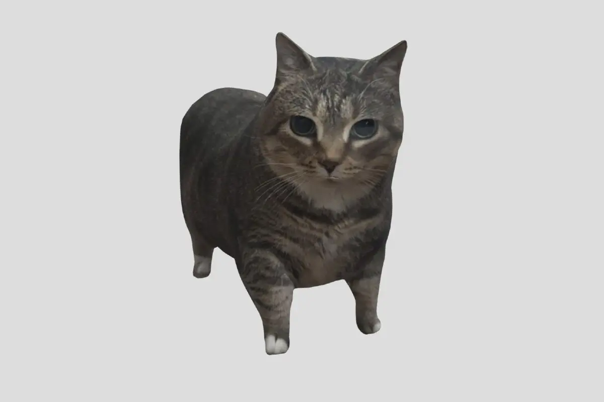 Super Sky Cat
