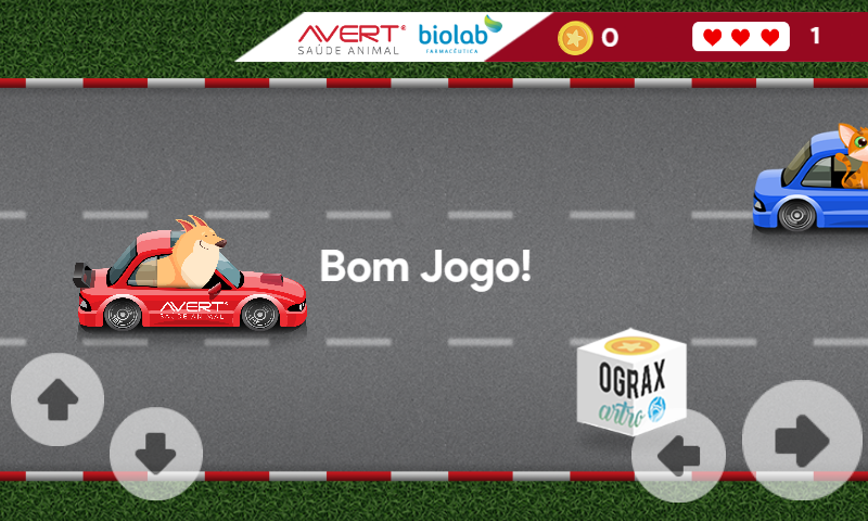 Corrida dos bichos