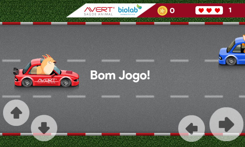 Corrida dos bichos
