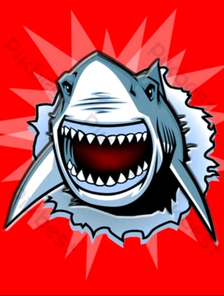  Shark Death