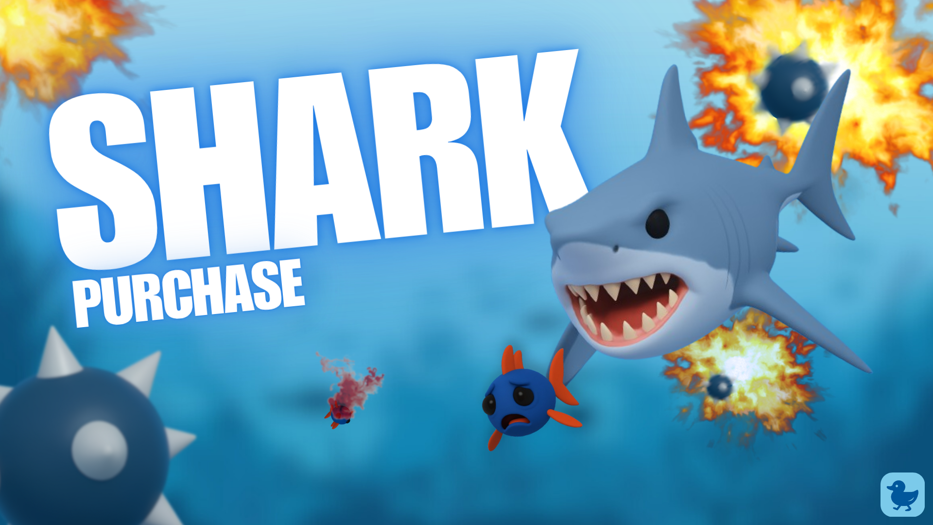 SHARK PURCHASE