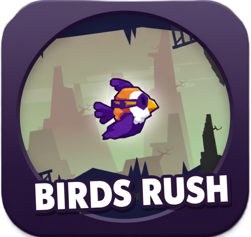 Birds Rush Completed