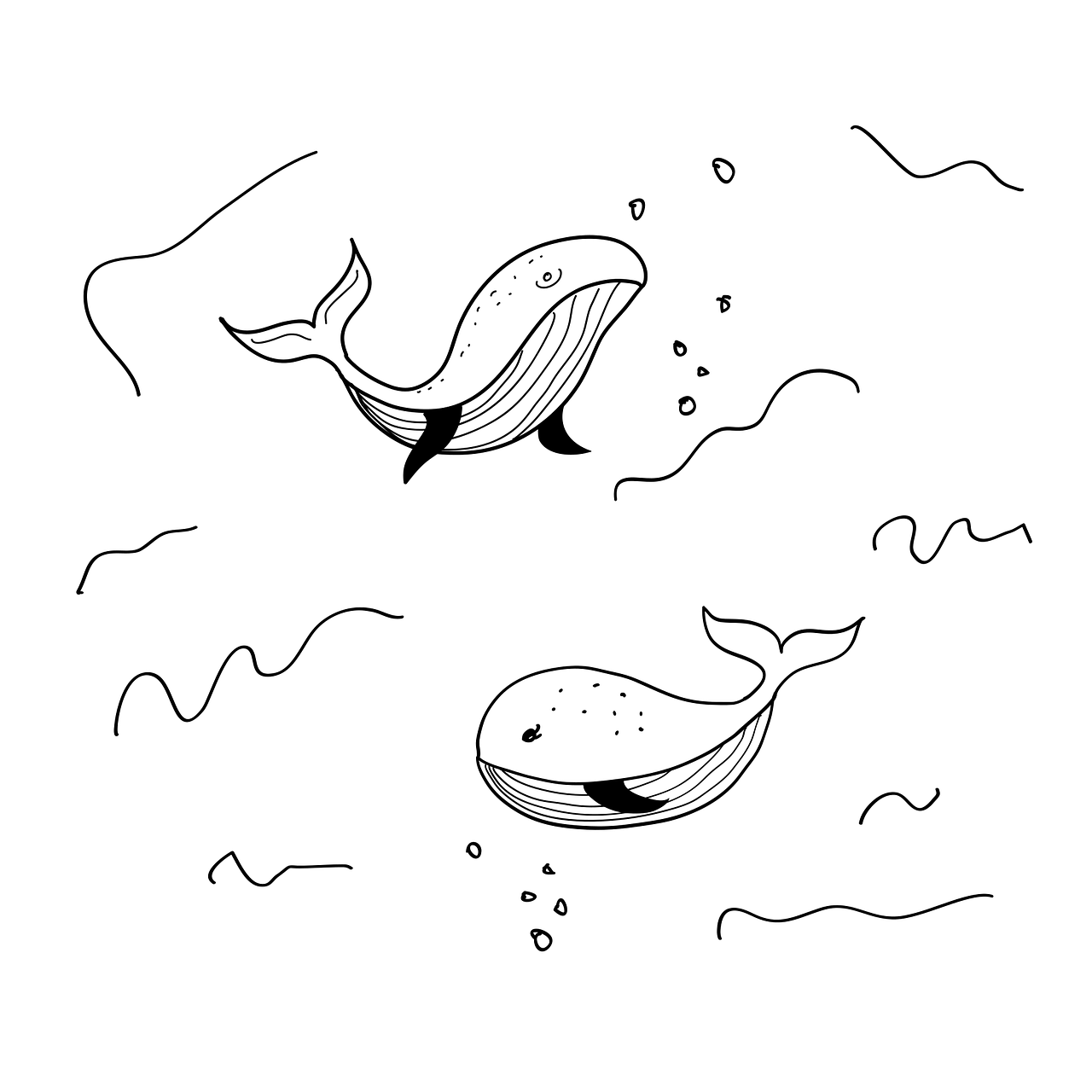 White fish