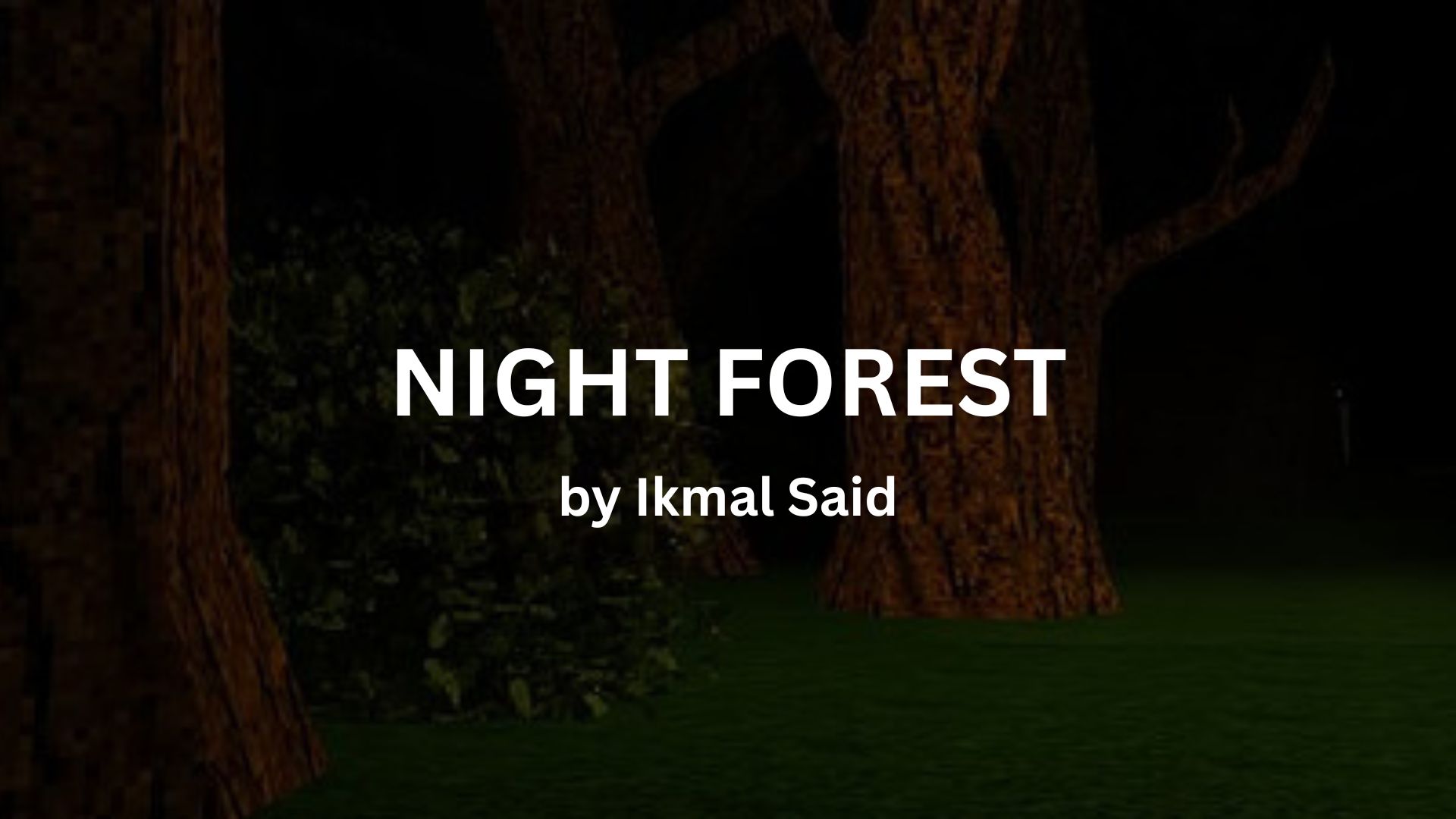 NIGHT FOREST