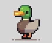 Duck Game