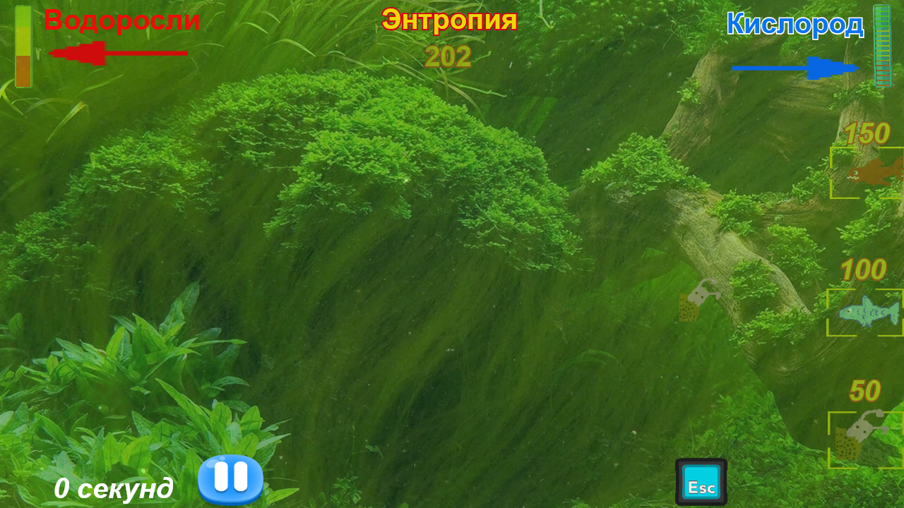 Aquarium survival