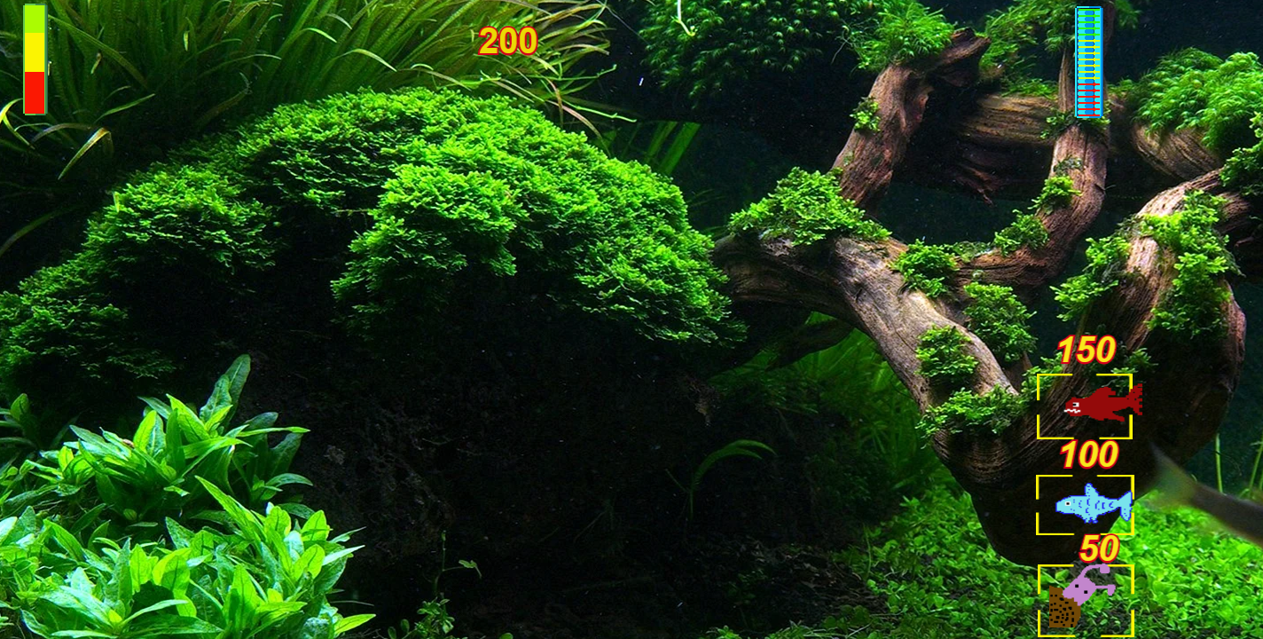 Aquarium survival