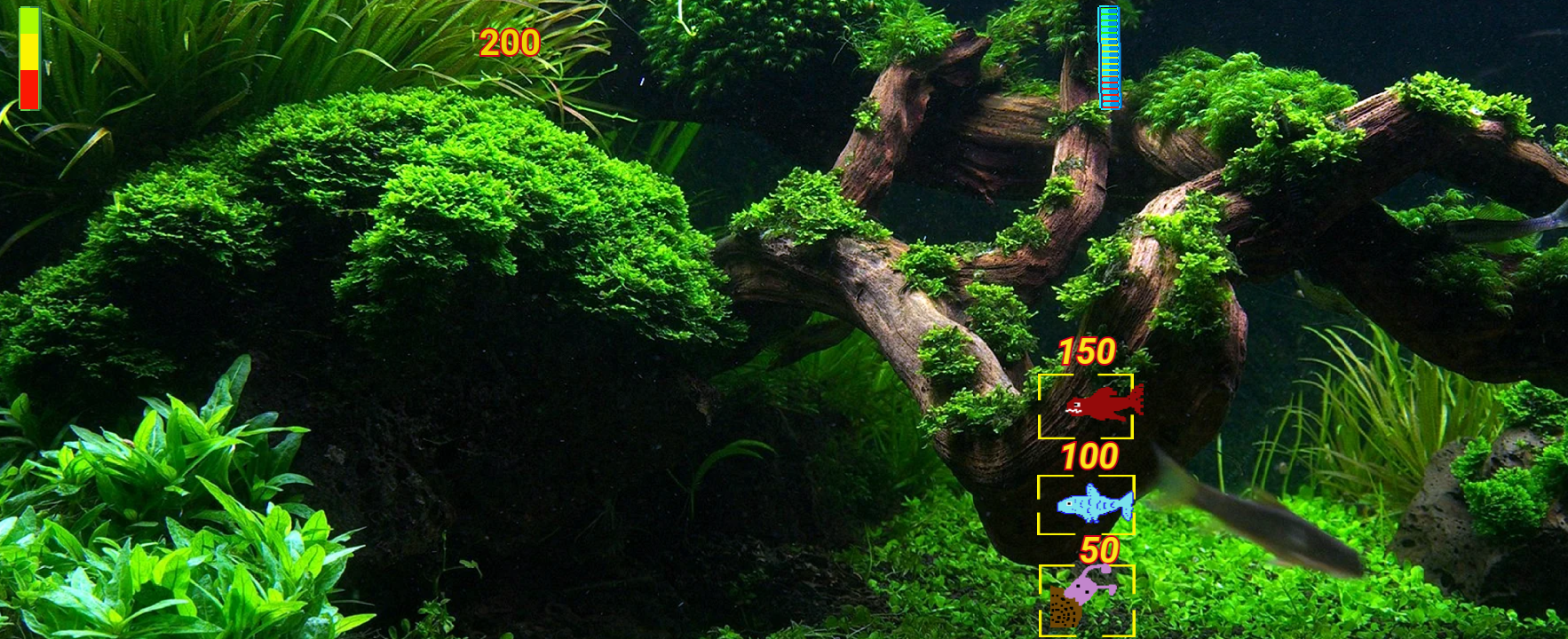 Aquarium survival