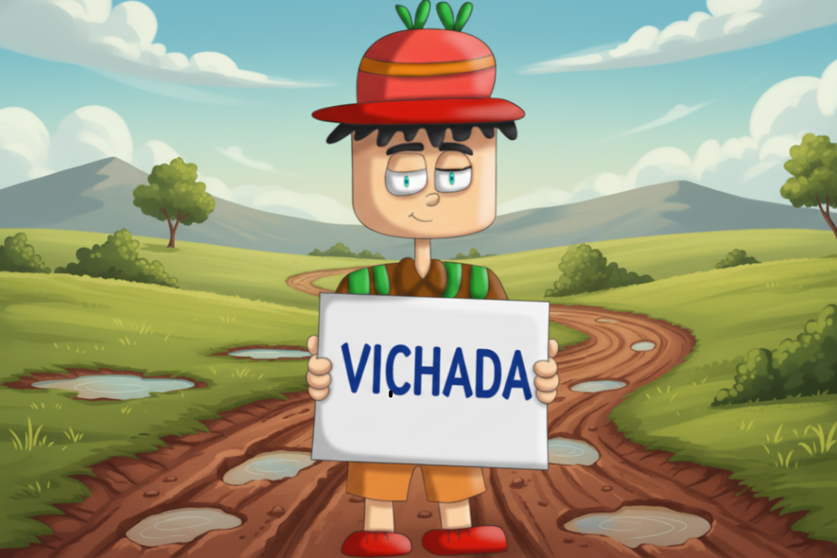 Portal Vichada