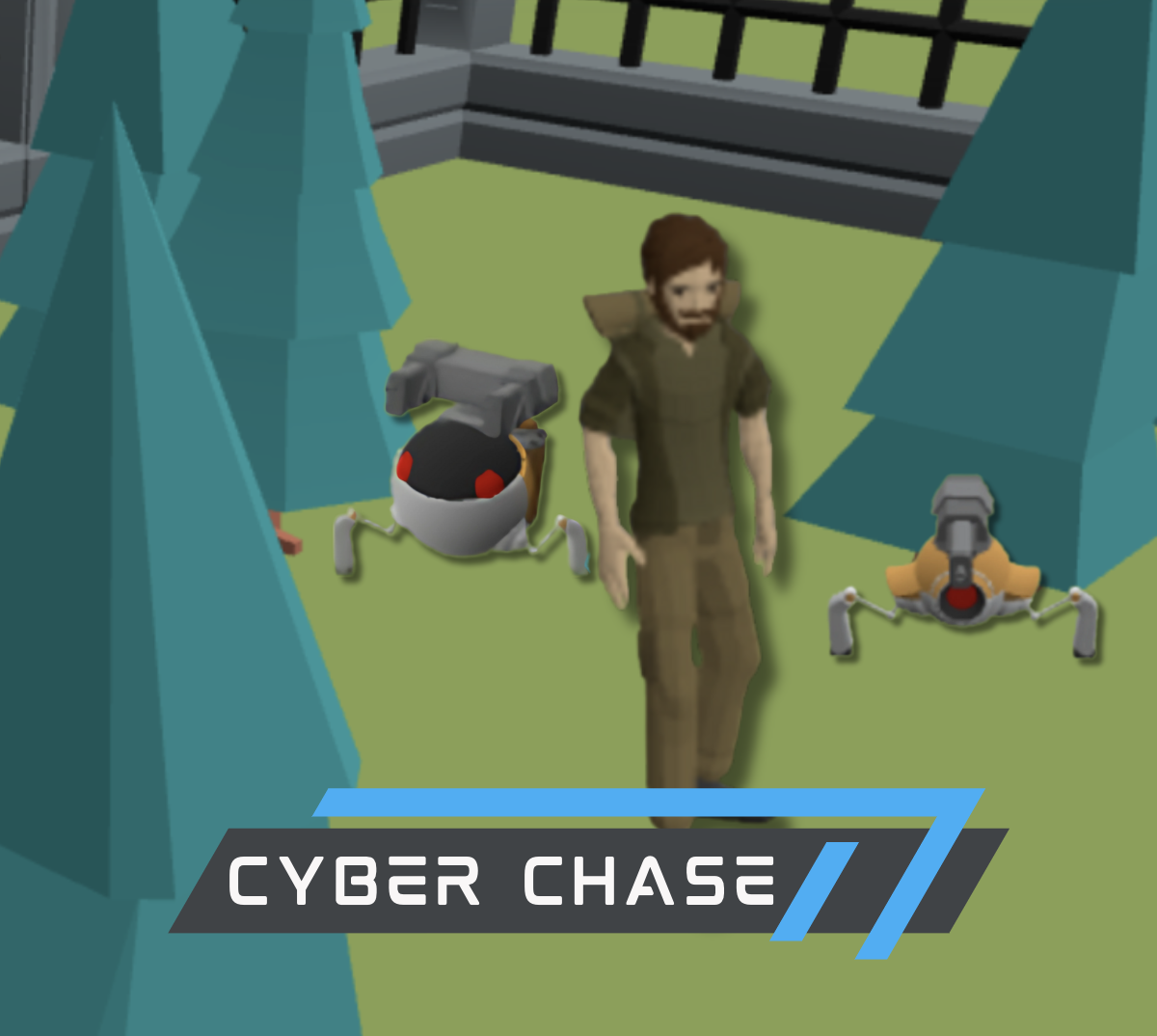 Cyber Chase