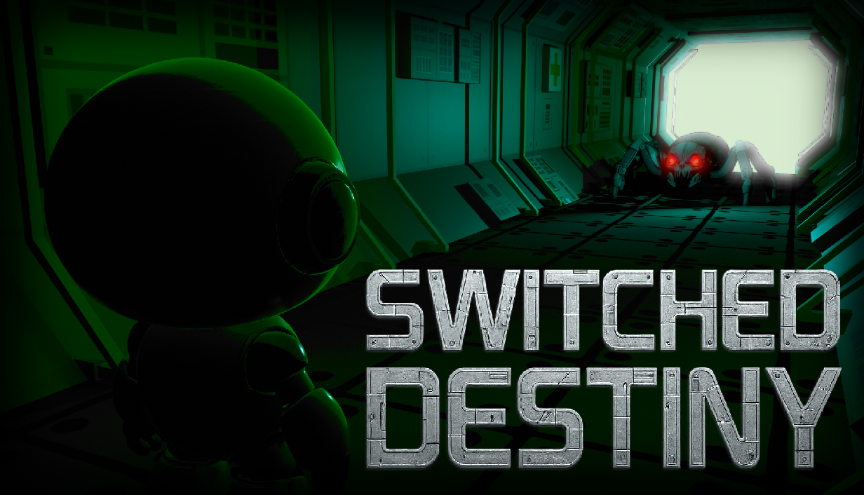 Switched Destiny