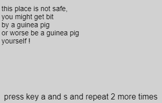 when guinea pig flies game